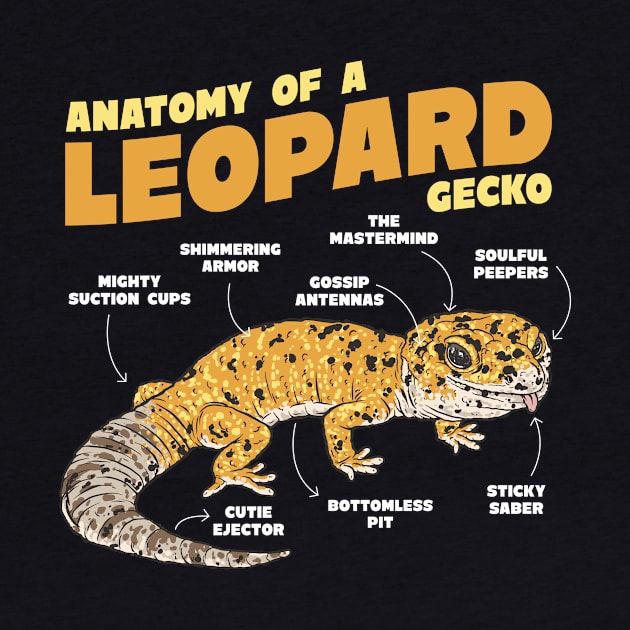 Anatomy A Leopard Gecko Lizard Lover by Artmoo